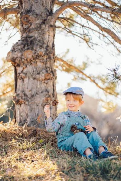 Ormandaki bir çam ağacının altında oturan kızıl saçlı çocuk ya da mavi süitte park eden ve papyon takan çocuk çam kozalakları tutuyor. Yüksek kalite fotoğraf