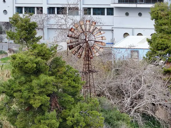 Antik Yunan şehrinin kalıntıları 
