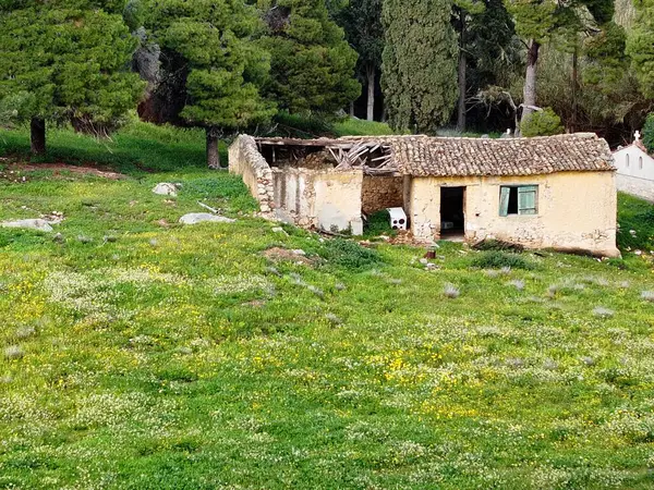 Antik Yunan şehrinin kalıntıları 