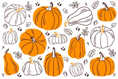 Bir çift balkabağı. Farklı şekil ve renkte balkabağı