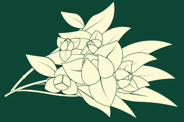 Vektör illüstrasyon elemanı. Romdol çiçek tasarımı