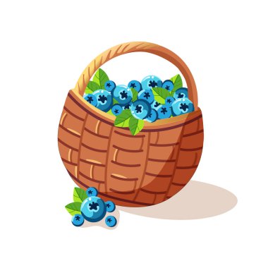 Yaban mersini ve yapraklı hasır sepet, düz stil gerçekçi vektör illüstrasyonu, beyaz üzerinde izole.