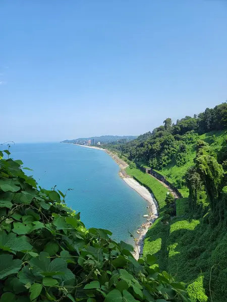 Batum Botanik Bahçesi 'nin inanılmaz manzarası. Batumi, Georgia