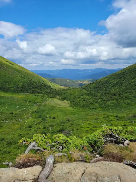 Hoverla 'nın eteklerinde. Manzaranın tadını çıkarmak ve Hoverla 'nın eteklerindeki doğal manzaranın tadını çıkarmak için biraz zaman ayırın. Ivano-Frankivsk bölgesi, Transcarpathian bölgesi, Ukrayna.