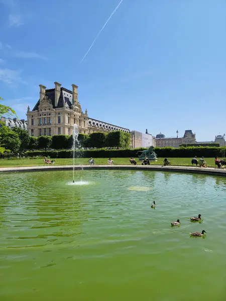 Tuileries Bahçesi 'ndeki su çeşmesi yemyeşil bir alanla çevrili ve ziyaretçilere dinlenmeleri ve akan su manzarası ve seslerinin keyfini çıkarmaları için sakin bir atmosfer sağlıyor. Paris, Fransa