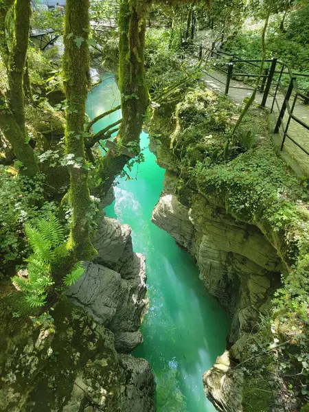 Martvili Kanyonu, zümrüt sularının antik kireç taşlarını oyup doğanın sanatının bir başyapıtını yarattığı bir yerdir. Martvili-Taleri-Chkhorotsku, Georgia