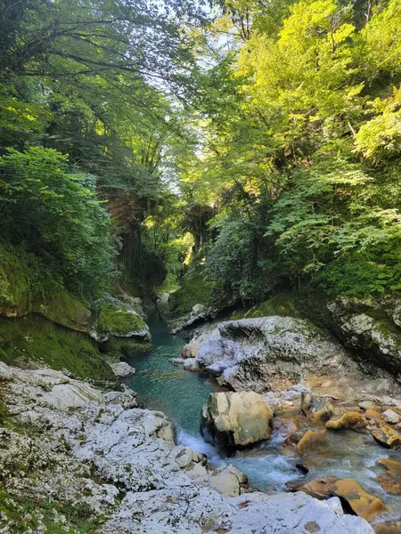 Batı Georgia 'nın Samegrelo bölgesinde yuva yapmış bir Martvili Kanyonu. Zümrüt suları yüksek uçurumları oyup nefes kesici doğal güzellik ve sükunet manzarası yaratıyor. Martvili-Taleri-Chkhorotsku, Georgia