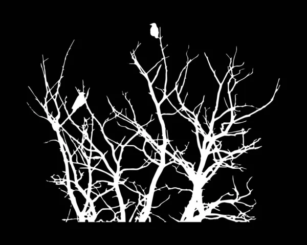 Cadılar Bayramı Kargaları Için Siluet Kışın Sonbahar Ormanlarında Ağaçta Oturuyor — Stok Vektör