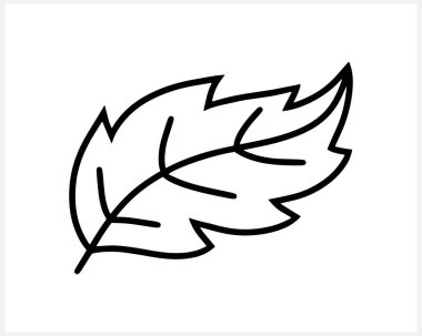 Karalama yaprağı simgesi izole edildi. Eko klipsli. Laurel vektör stok çizimi yapıyor. EPS 10