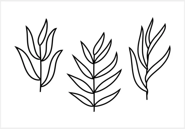 Zweig Mit Blättern Clipart Isoliert Öko Doodle Baum Symbol Gravur — Stockvektor