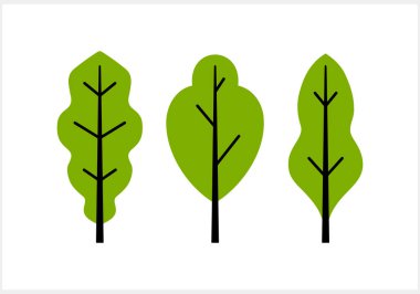 Çizgi film ağacı ya da yaprak ikonu izole edilmiş. Vektör hisse senedi çizimi. EPS 10