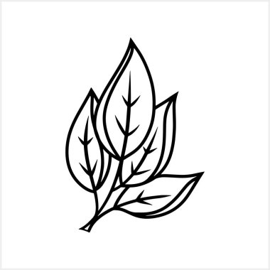 Yaprak ikonlu karalama dalı izole edildi. Çizim yaprağı Clipart Vector hisse çizimi. EPS 10