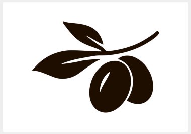 Zeytin parçası. Yaprak ve meyveli dal soyutlanmış. Stencil Vector hisse senedi çizimi. EPS 10