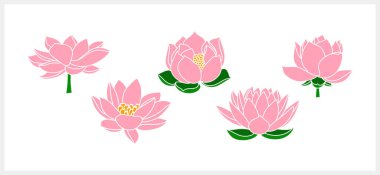 Yaprak parçalı gülü lotolar el çizimi çizgi film doğa Vektör hisse senedi illüstrasyonu EPS 10