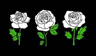 Doodle beyaz gülü ve laf simgesi El çizimi sanat çiçeği şablonu vektör sermaye illüstrasyonu EPD 10