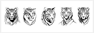 Sketch Tiger dövmesi, Hayvan Clipart Vector hisse senedi çizimi EPS 10