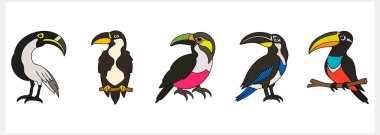 Doodle Toucan klipsi sanatı izole edildi. Hayvan klipsi. Kuş ikonu. Vektör hisse senedi çizimi. EPS 10