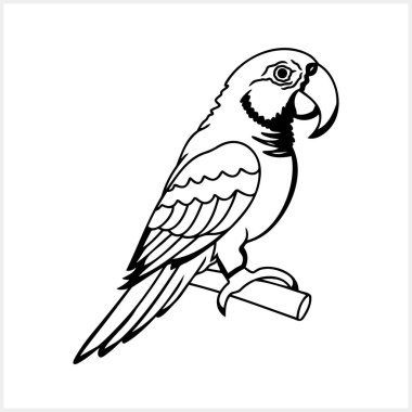 Siyah ve beyaz renklendirme sayfası Hayvanlar için papağan vektörü resmi