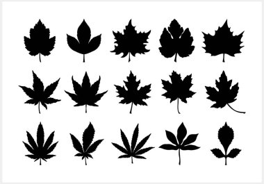 Akçaağaç yaprağı ikonu izole edildi. Stencil clipart. Vektör stok illüstrasyonu