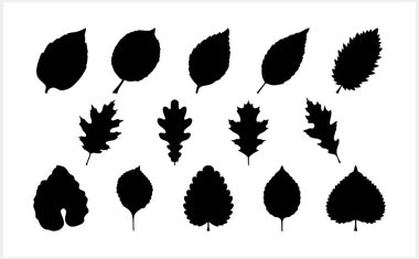 Karalama yaprağı simgeleri izole edildi. Şablon yaprakları. Vektör stok illüstrasyonu