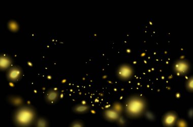 Sihirli ateş böceği, ateş böceği, ateş böceği altını, parlayan ateş böceği, izole edilmiş ateş böceği, ışıklarla soyut arka plan.