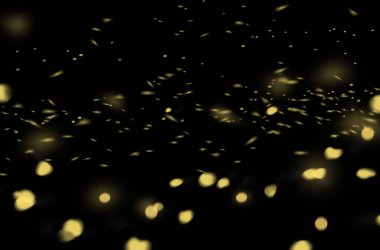 Sihirli ateş böceği, ateş böceği, ateş böceği altını, parlayan ateş böceği, izole edilmiş ateş böceği, ışıklarla soyut arka plan.