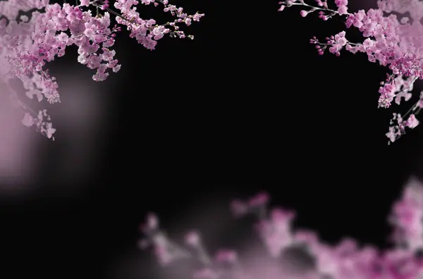 Kiraz çiçeği, elma çiçeği, siyah üzerine izole edilmiş, beyaz üzerine izole edilmiş, dal çiçeği, soyutlanmış çiçek, bahçede güzel pembe çiçekler.