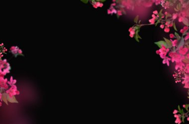 Bahar çiçekleri soyutlanmış., 