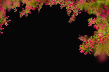 Bahar çiçekleri soyutlanmış., 