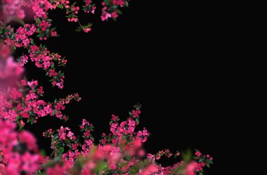 Bahar çiçekleri soyutlanmış., 