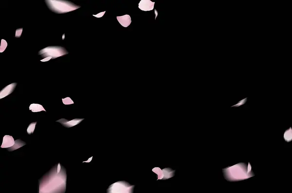 Uçan çiçek yaprakları, bahar, çiçek dalı, izole edilmiş.