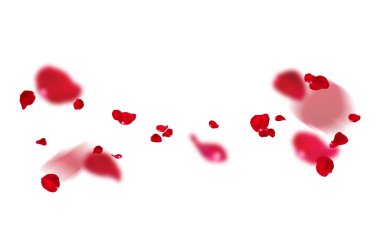 Uçan taç yaprakları, yalıtılmış gül yaprakları, sinek, kırmızı pembe taç yaprakları, kompozisyon