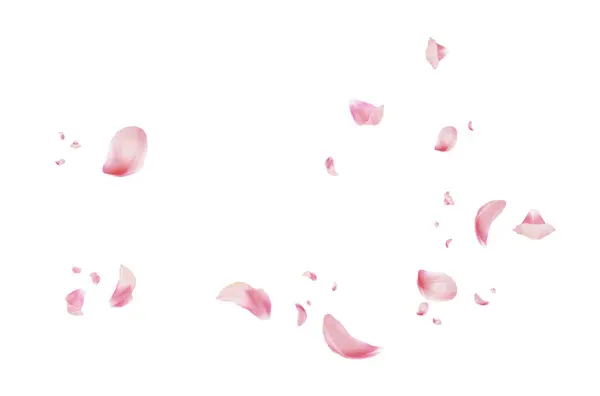 Uçan taç yaprakları, yalıtılmış gül yaprakları, sinek, kırmızı pembe taç yaprakları, kompozisyon