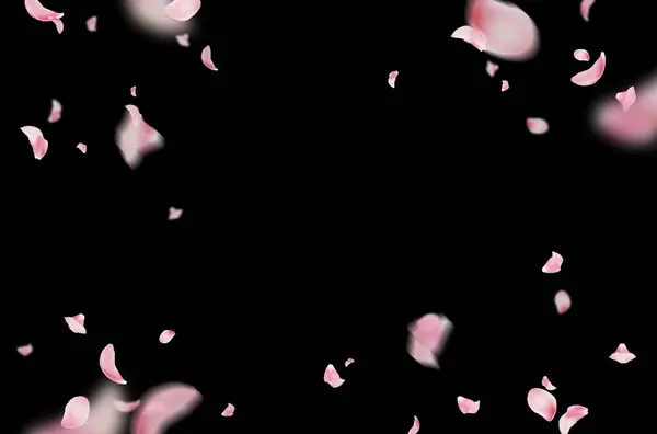 Uçan taç yaprakları, yalıtılmış gül yaprakları, sinek, kırmızı pembe taç yaprakları, kompozisyon