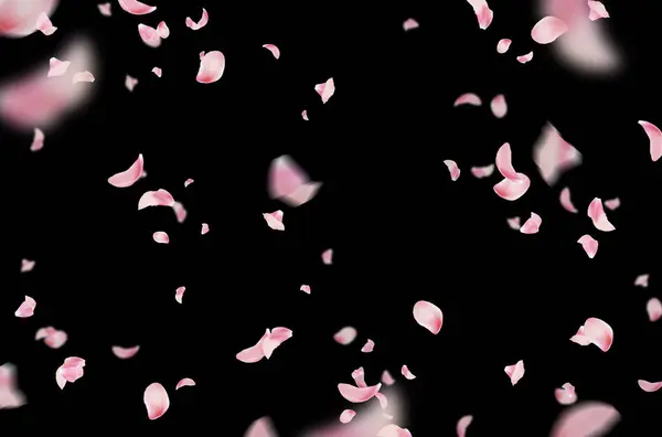 Uçan taç yaprakları, yalıtılmış gül yaprakları, sinek, kırmızı pembe taç yaprakları, kompozisyon