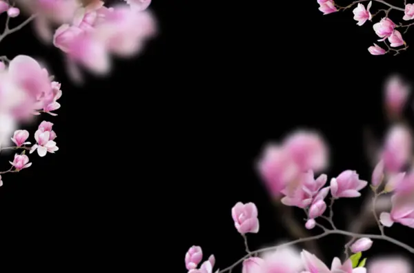 Çiçek açan dal, soyutlanmış, çiçek, kiraz, elma, çiçek, bahar, çiçek