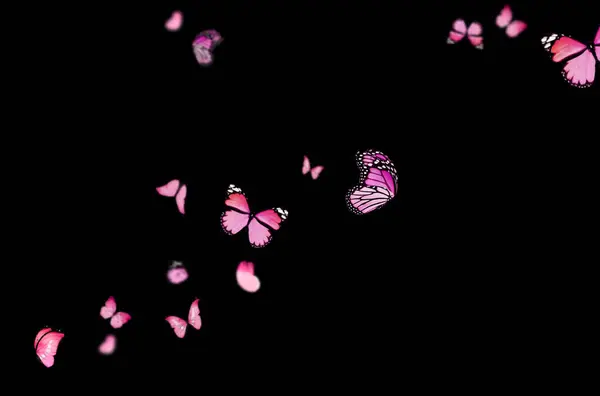 Uçan kelebek, kompozisyon, izole edilmiş, mavi, sarı, pembe, renkli, sinek, bahar, yaz