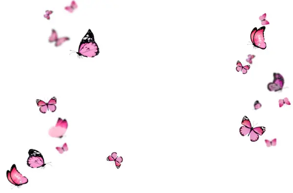 Uçan kelebek, kompozisyon, izole edilmiş, mavi, sarı, pembe, renkli, sinek, bahar, yaz