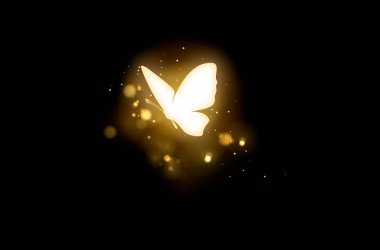 Sihirli kelebek, parlayan peri, sihir, gece, doğa, parıltı, izole edilmiş