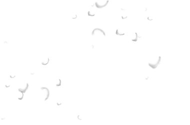 Uçan tüy, sinek, gökyüzü, bileşim, kuşlar, bulutlar, tüy, izole edilmiş