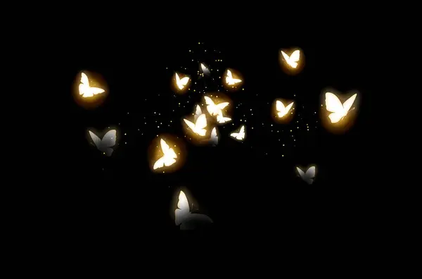 Sihirli kelebek, parlayan peri, sihir, gece, doğa, parıltı, izole edilmiş