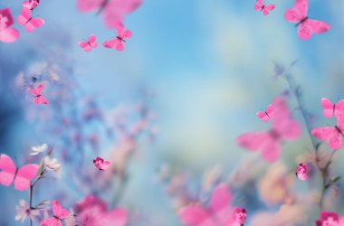 Romantik kompozisyon, kelebek, kalp, çiçek, güvercin, tüy, gül, izole, doğa, arka plan, sevgililer günü