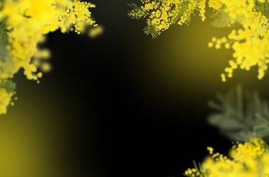 mimoza, kestane, üzüm, kiraz çiçeği, elma çiçeği, doğa, yalıtılmış, kompozisyon, ilkbahar, yaz