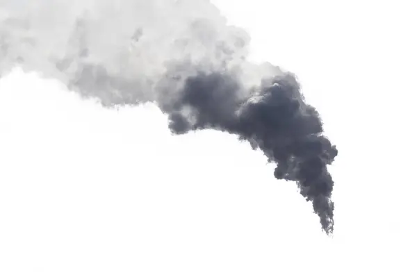 Sis bombası, duman, sis, yalıtılmış, bileşim, orman, sis