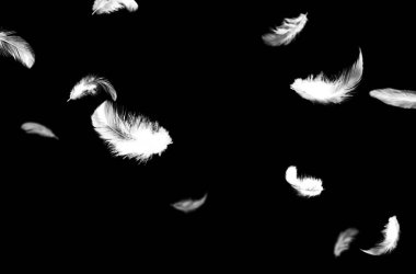 Uçan tüy, yalıtılmış, beyaz, kompozisyon, gökyüzü, melek