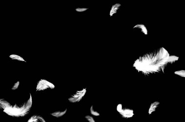 Uçan tüy, yalıtılmış, beyaz, kompozisyon, gökyüzü, melek