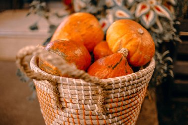 kamış sepetinde kabak hasadı