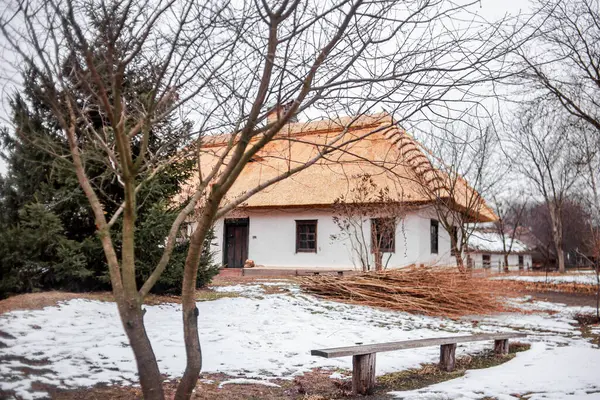 Kışın Geleneksel Ukrayna Konağı