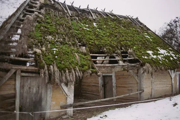 Yosun kaplı ahır harabesi