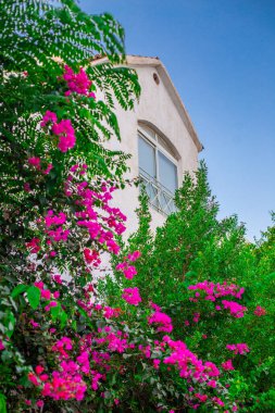Gün batımında Arap şehrinin şehir manzarası